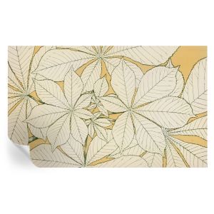 Papel pintado autoadhesivo hojas de castaño 416x254 tulup