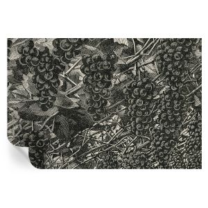 Papel pintado autoadhesivo estampado de uva 104x152 tulup