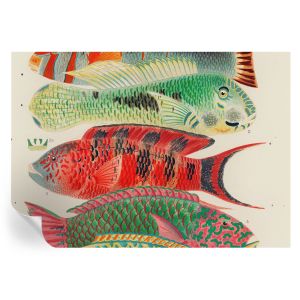 Murales autoadhesivos peces exóticos 208x146 tulup