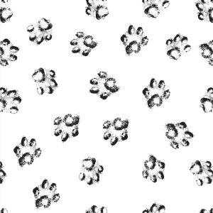 Papel pintado animal huellitas 60cm por 250cm