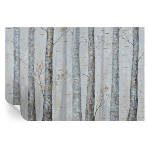 Papel pintado autoadhesivo abedules 104x152 tulup