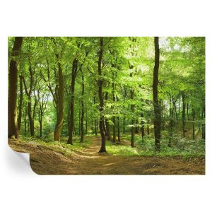 Papel pintado autoadhesivo sendero natural 208x146 tulup