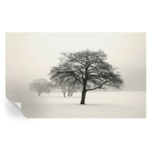 Papel pintado autoadhesivo árboles de invierno 416x254 tulup