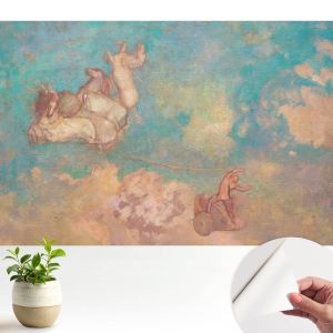 Papel pintado para paredes pegaso celestial 250x250 tulup