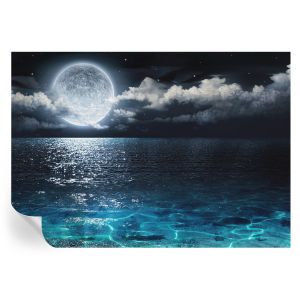 Murales autoadhesivos mar nocturno 208x146 tulup