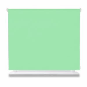 Estor enrollable opaco verde 210x250cm.