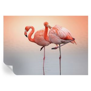 Papel pintado para paredes delicados flamencos 208x146 tulup