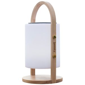 Lámpara con altavoz bluetooth inalámbrico 10w woody
