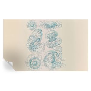 Murales autoadhesivos medusas marinas 416x254 tulup