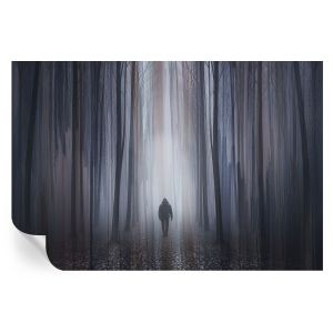 Papel pintado autoadhesivo silencio del bosque 104x152 tulup