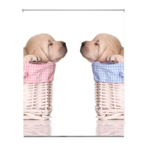 Estoralis | estor enrollable personalizado a-1063 110x175 multicolor