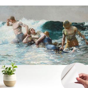 Murales autoadhesivos combate naval 250x250 tulup