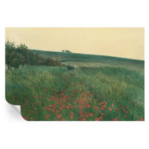 Papel pintado autoadhesivo campos de amapolas 104x152 tulup