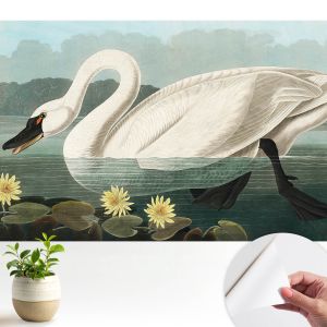 Murales autoadhesivos cisnes y nenúfares 208x146 tulup