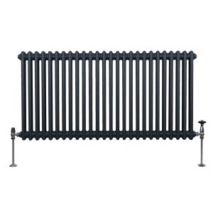 Radiador tradicional horizontal de 2 columnas - 600 x 1192mm - gris