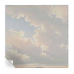 Murales autoadhesivos cielo pastel 250x250 tulup
