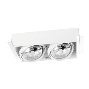 LEDs c4 downlight multidir double LED 299mm trimless 100w negro ip23