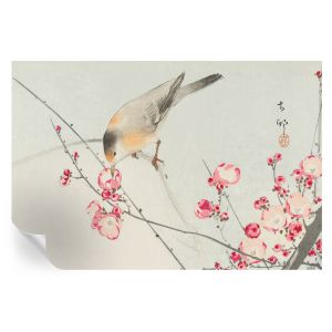 Murales autoadhesivos pájaro flor 104x152 tulup