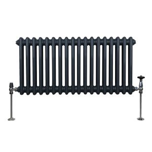 Radiador tradicional horizontal de 2 columnas - 300 x 832 mm - gris