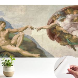 Papel pintado autoadhesivo contacto espiritual 250x250 tulup