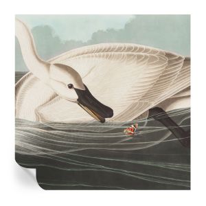 Papel pintado para paredes armonía de la naturaleza 250x250 tulup