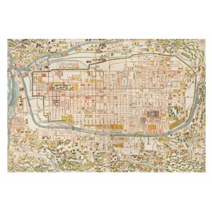 Papel pintado tnt 250x250 mapa antiguo tulup