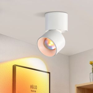 Nettlfe lámpara de techo LED blanca 12x8.5