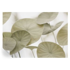 Papel pintado autoadhesivo elegancia natural 208x146 tulup