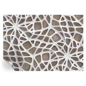 Murales autoadhesivos red de encaje 208x146 tulup