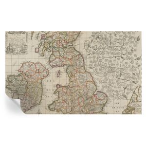 Murales autoadhesivos mapa antiguo 416x254 tulup