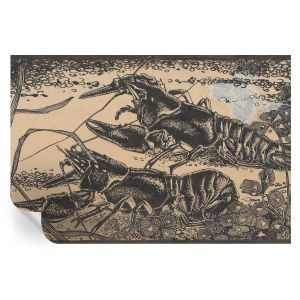 Papel pintado autoadhesivo cangrejo de río 104x152 tulup