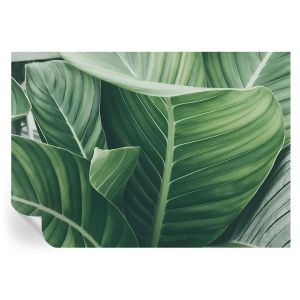 Papel pintado autoadhesivo paz verde 208x146 tulup
