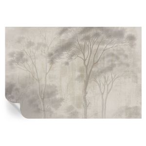 Papel pintado para paredes armonía elegante 104x152 tulup