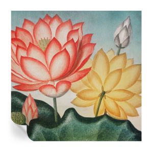 Murales autoadhesivos flores de loto 250x250 tulup