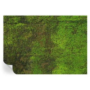 Murales autoadhesivos alfombra verde 208x146 tulup