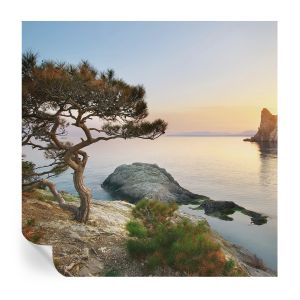 Murales autoadhesivos naturaleza pacífica 250x250 tulup