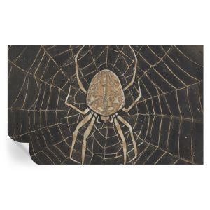Papel pintado autoadhesivo telaraña 416x254 tulup