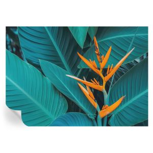 Murales autoadhesivos flores frondosas 208x146 tulup