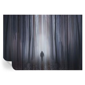 Papel pintado autoadhesivo silencio del bosque 208x146 tulup