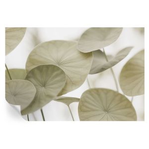 Papel pintado autoadhesivo elegancia natural 104x152 tulup