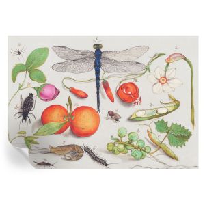 Papel pintado para paredes ilustración de la naturaleza 208x146 tulup