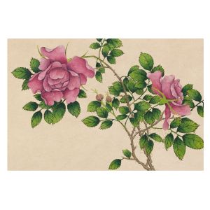 Papel pintado tnt 250x250 rosas románticas tulup