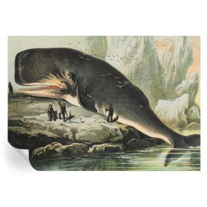 Murales autoadhesivos gigantismo marino 312x219 tulup