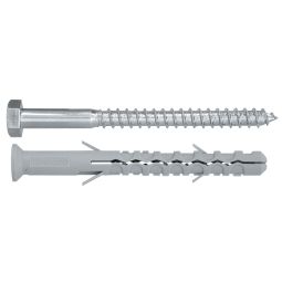 Pack 6 tacos largo con tornillo hexag. diall 10 x 100 mm