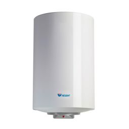 Termo eléctrico, regent 100 litros, vertical