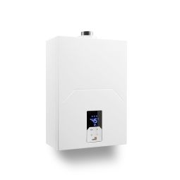 Calentador estanco 12l Ceti Gas Propano / Butano Cointra