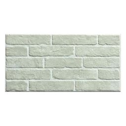 Plaqueta Dauco blanco 25 x 50 cm
