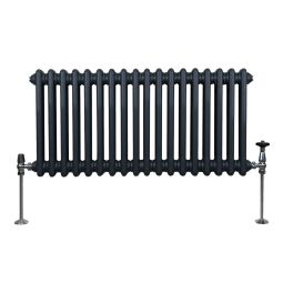 Radiador tradicional horizontal de 2 columnas - 300 x 832 mm - gris