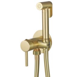 Valaz grifo de bidet empotrado redondo dorado cepillado