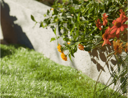 7 ideas para reformar tu jardín o terraza